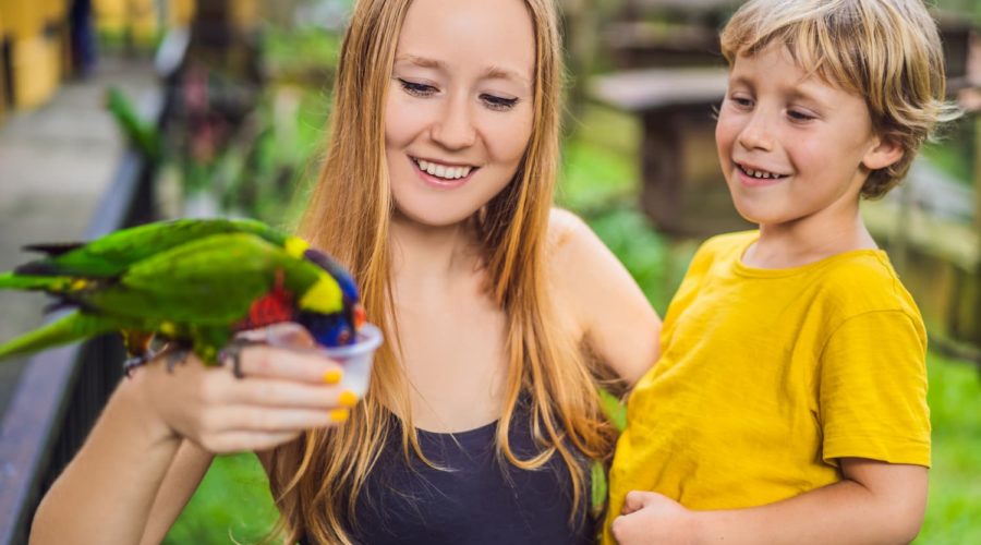 mom-son-feed-parrot-park-spending-time-with-kids-concept (1)