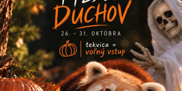 tyzden-duchov-2