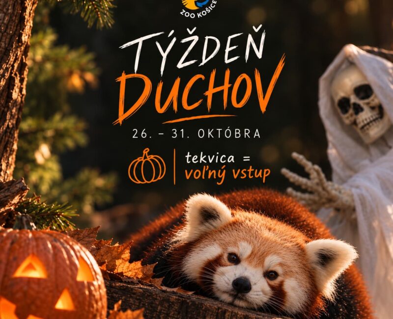 tyzden-duchov-2