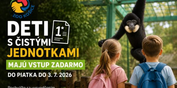 vysvedčenie grafika